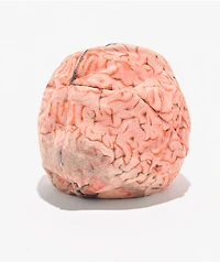 Adventure Imports Brain 8-Panel Hacky Sack