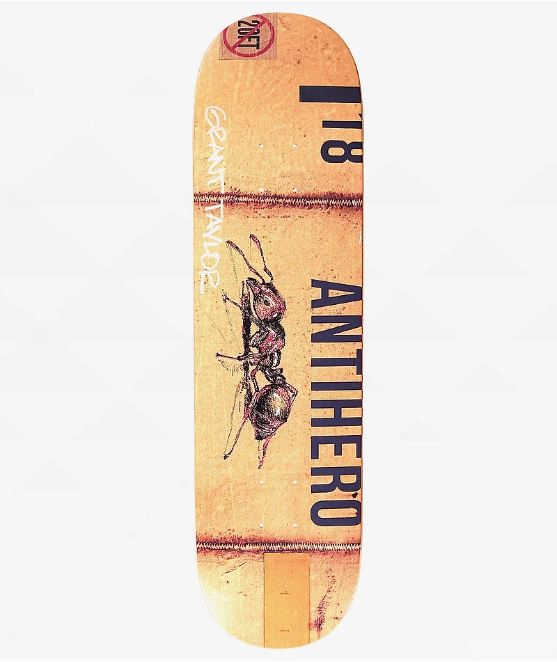 Anti-Hero Taylor Intermodal 8.32" Skateboard Deck