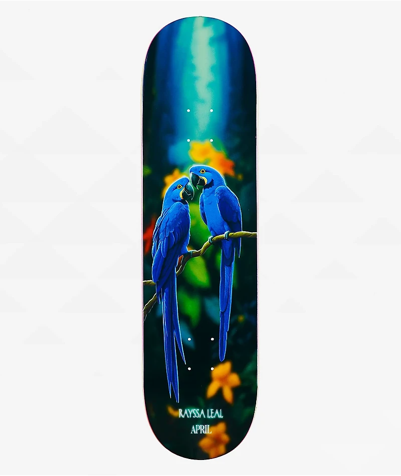 April Rayssa Blue Macaw 8.25" Skateboard Deck