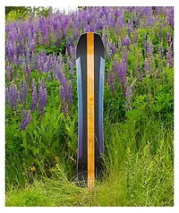 Arbor Annex Snowboard 2023