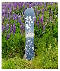 Arbor Annex Snowboard 2023