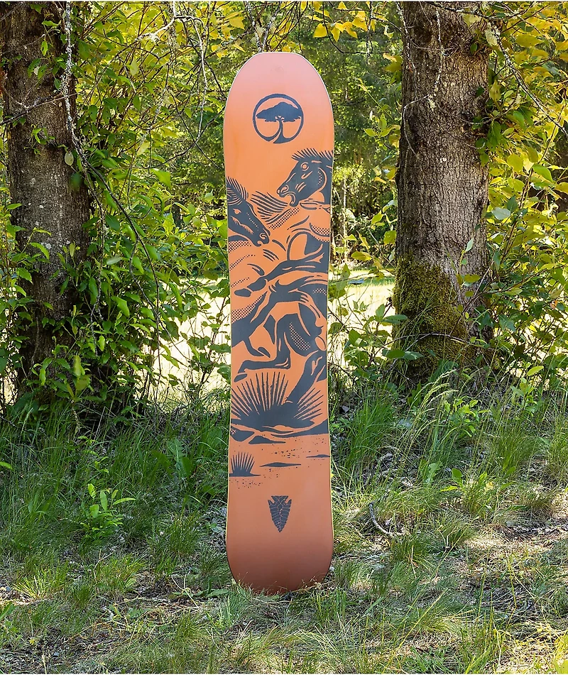 Arbor Carter Snowboard 2024