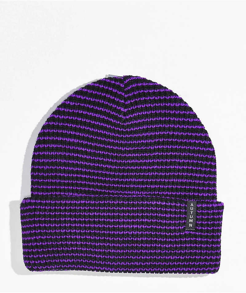 Autumn Purple Stripe Beanie