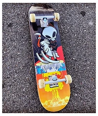 Blind Crazy Horse 8.25" Skateboard Deck