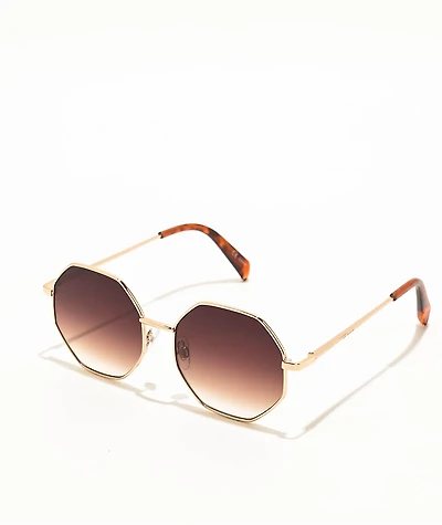Brown & Silver Geometric Sunglasses
