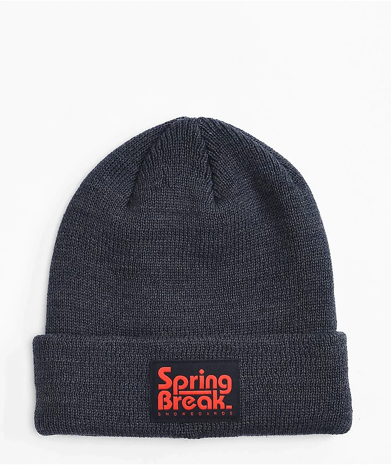 Capita Spring Break Dark Grey Beanie