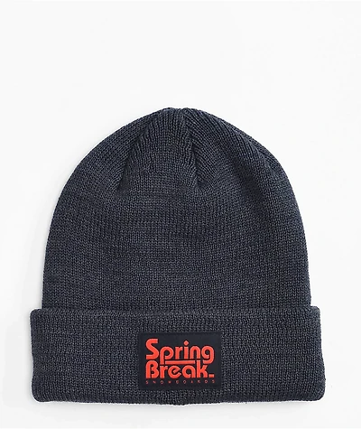 Capita Spring Break Dark Grey Beanie