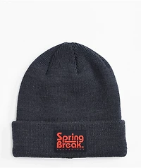 Capita Spring Break Dark Grey Beanie
