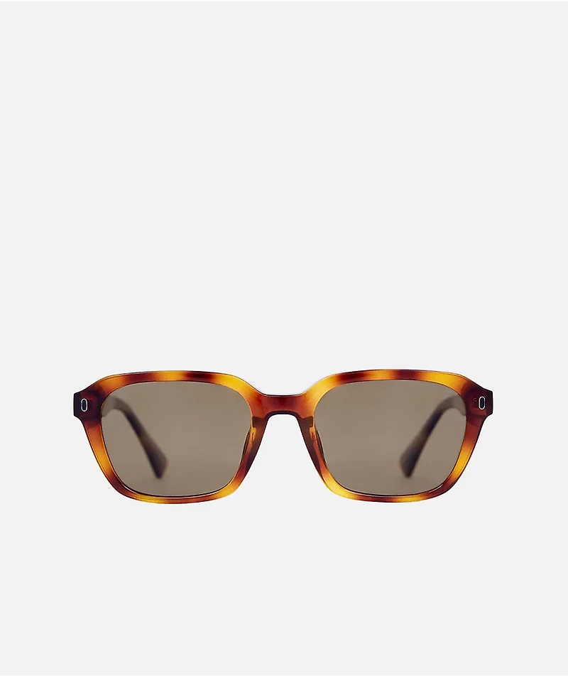 Carve Del Ray Tortoise Shell Brown & Gradient Polarized Sunglasses