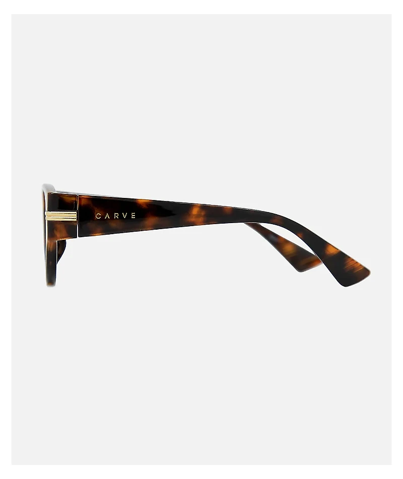 Carve Rhode Gloss Tortoise Shell & Brown Sunglasses