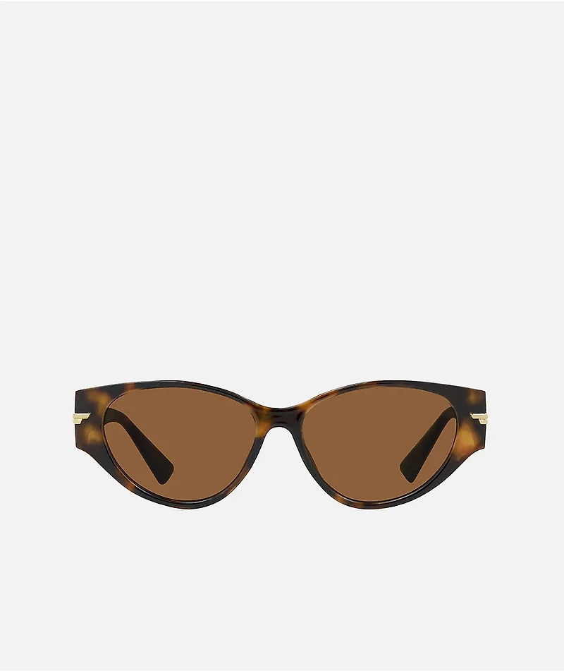Carve Rhode Gloss Tortoise Shell & Brown Sunglasses