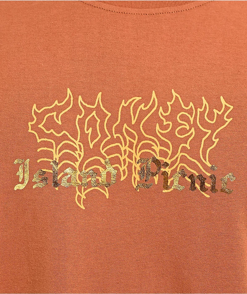 Coney Island Picnic Take Me Away Brown T-Shirt