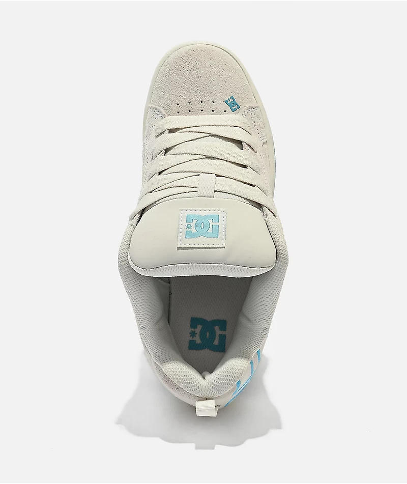 DC Court Graffik Off White & Pastel Blue Skate Shoes