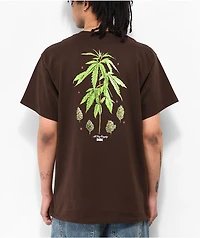 DGK Botanical Society Brown T-Shirt