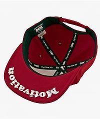 DGK I Love Haters Crimson Snapback Hat