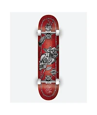 DGK Stay True 8.25" Skateboard Complete