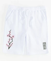 DGK Zen White Sweat Shorts