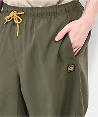 Element Canyon Forest Green Pants