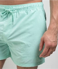 Empyre Ollie Mint Board Shorts