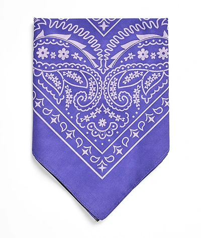Empyre Paisley Purple Bandana