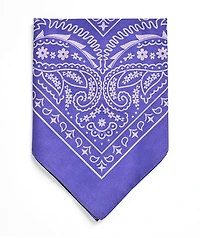 Empyre Paisley Purple Bandana