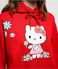 Hello Kitty® and Friends | A.LAB Hello Kitty Pink Ribbon Red Hoodie