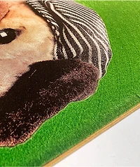 Jacuzzi Pulizzi Know When To Hold 8.375" Skateboard Deck