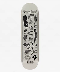 Less Than Local Scat 8.5" Skateboard Deck