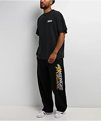 Midnight Organic Citrus Black Sweatpants