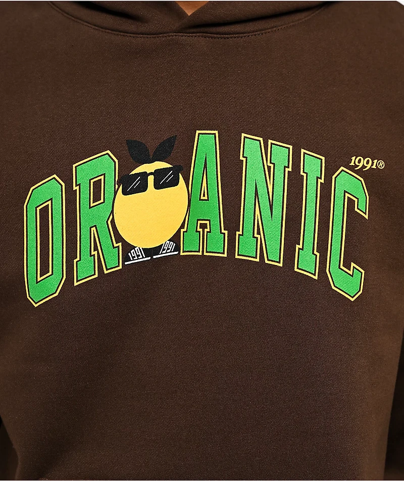 Midnight Organic Mr. Midnight Brown Hoodie