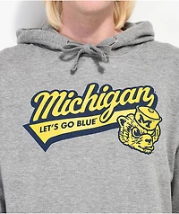 Mitchell & Ness Michigan Tail Sweep Grey Hoodie