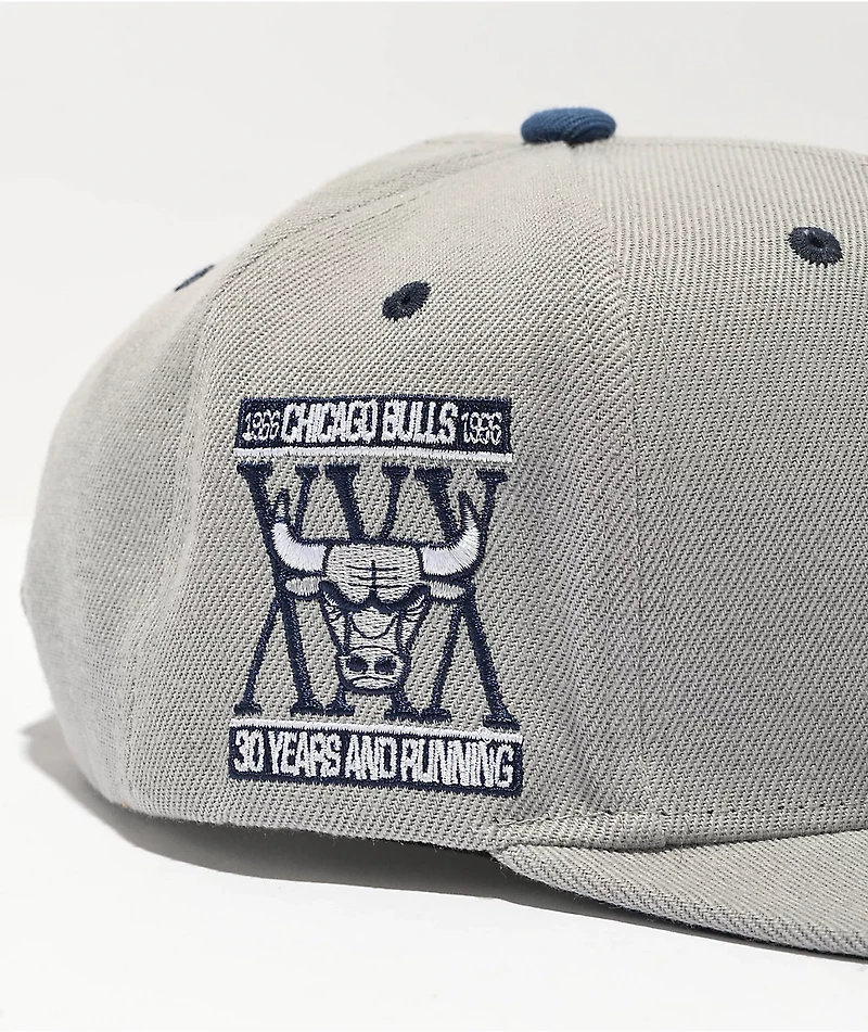 Mitchell & Ness x NBA Chicago Bulls District Grey & Navy Blue Snapback Hat