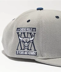 Mitchell & Ness x NBA Chicago Bulls District Grey & Navy Blue Snapback Hat