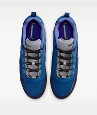 Nike SB Air Max Ishod Blue Void & Metallic Silver Skate Shoes