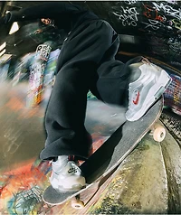 Nike SB Air Max Ishod PRM Metallic Silver & Varsity Red Skate Shoes
