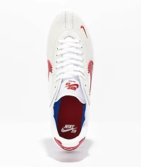 Nike SB BSRB White & Varsity Red Skate Shoes