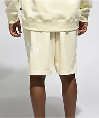 Nike SB Dri-Fit Sunday Coconut Milk Basketball Shorts