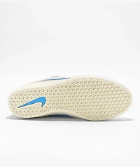 Nike SB Force 58 White & Baby Blue Skate Shoes