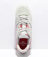 Nike SB Ishod RM Seafoam & University Red Skate Shoes