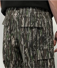 Nike SB Kearny Realtree Camo Cargo Pants