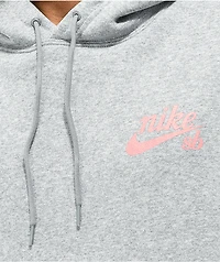 Nike SB Pink Dog Grey Hoodie