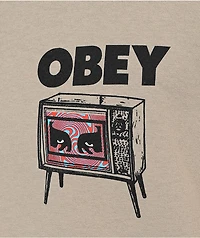 Obey Hypno Silver Grey Pigment Dye T-Shirt