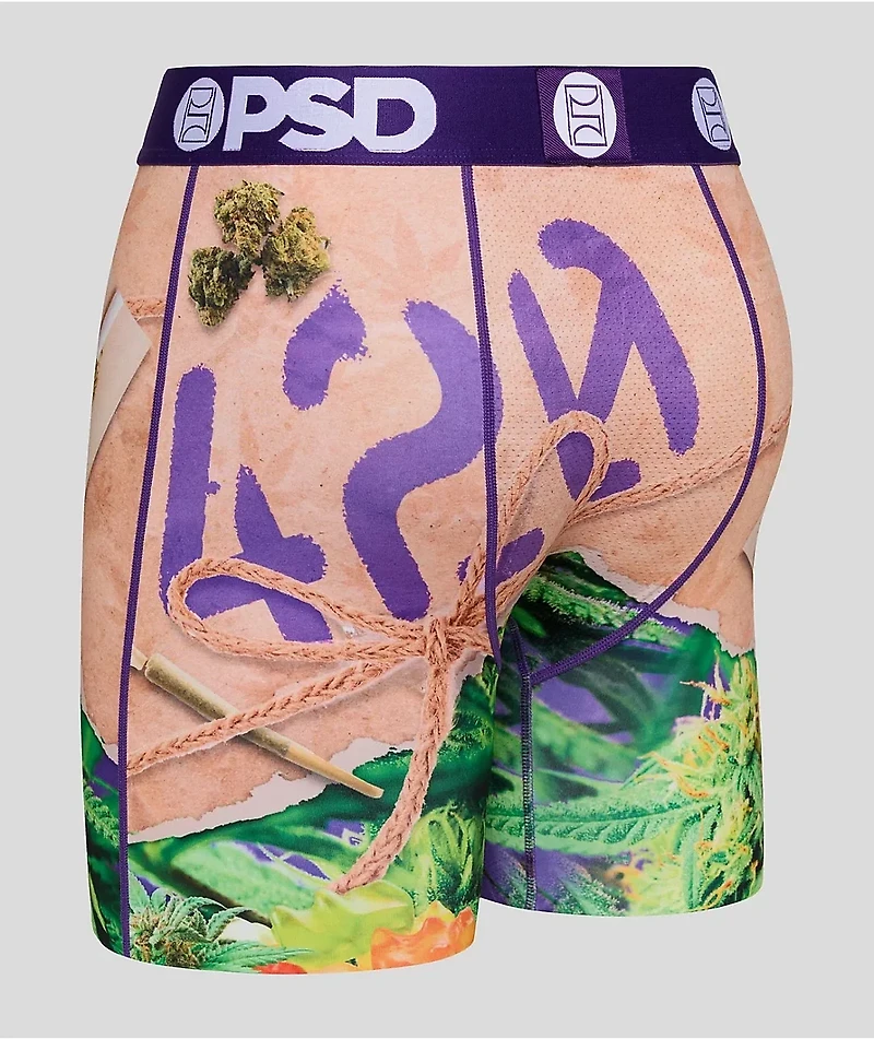 PSD 420 Stash Boxer Briefs