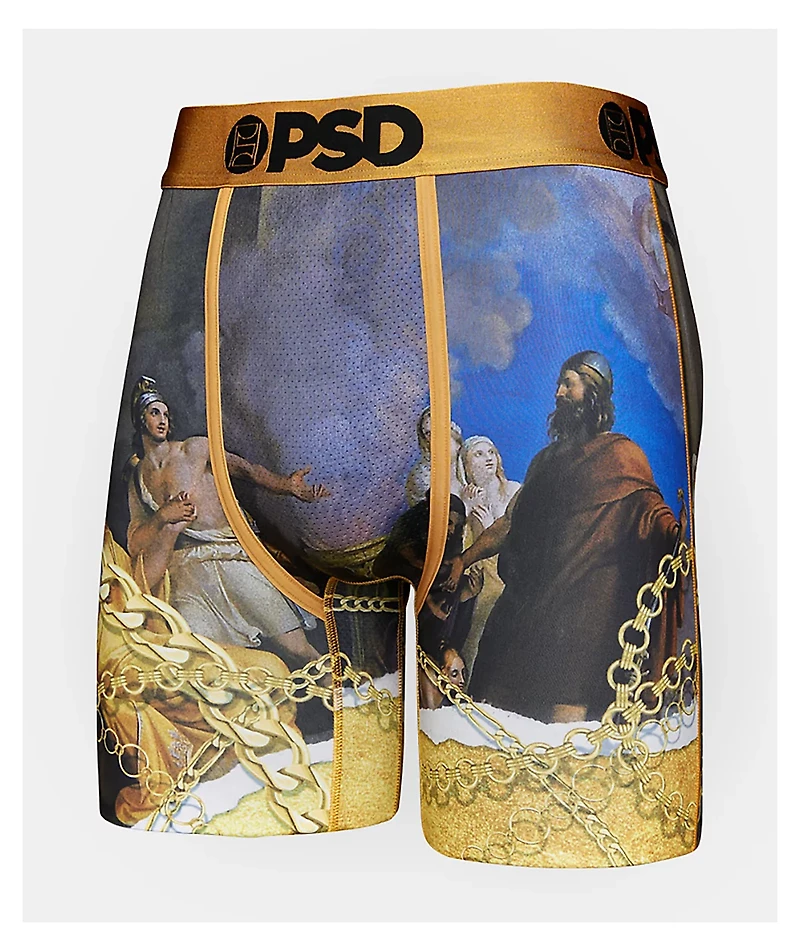 PSD Renaissance Boxer Briefs