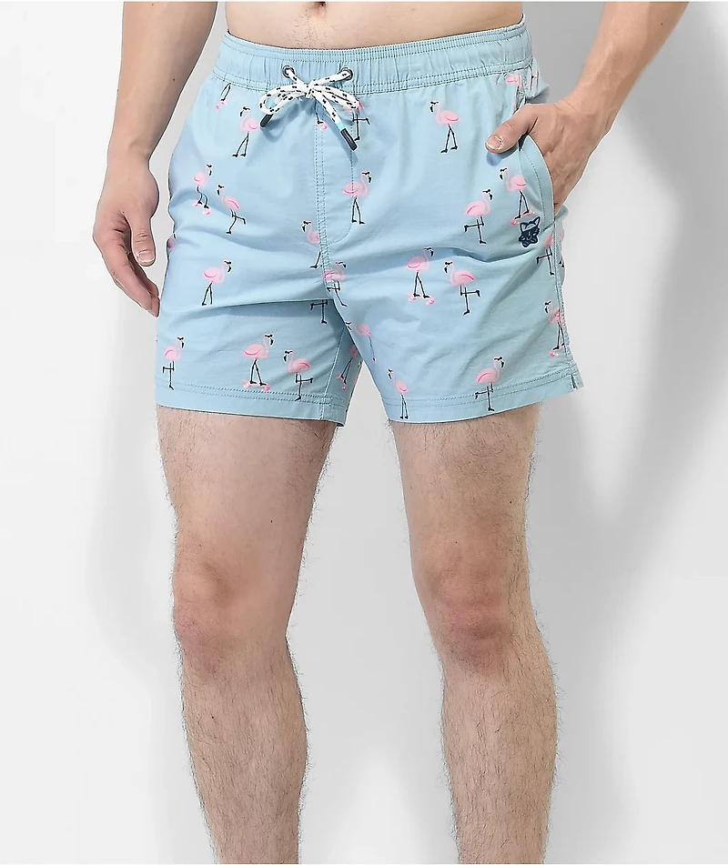 Party Pants Cruiser Flamingoes Sky Blue Board Shorts