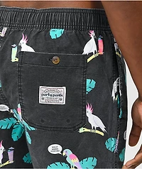 Party Pants Polly Want A Cocktail Black Board Shorts