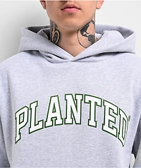 Planted Varsity Logo Grey Hoodie