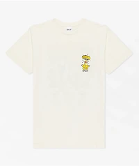RIPNDIP Know Ur Shrooms Natural T-Shirt
