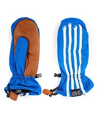 Salmon Arms Classic Blue & White Stripe Snowboard Mittens