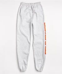 Santa Cruz Kids Ash Grey Sweatpants